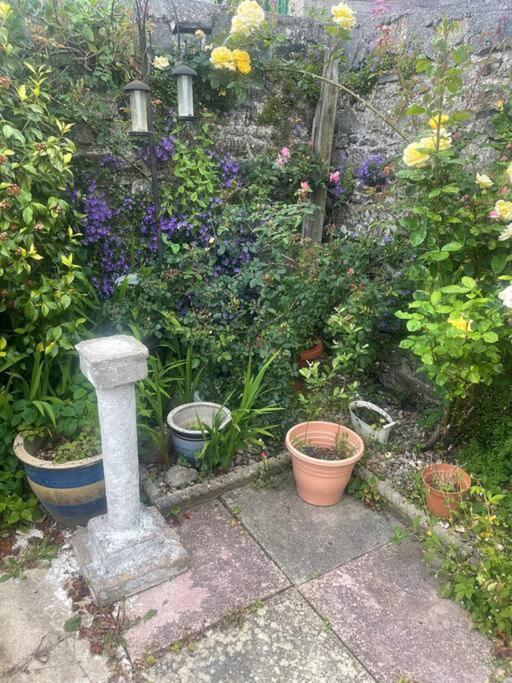 Ivybridge Cottage ภายนอก รูปภาพ